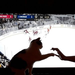 Meet your Posher, Jenn